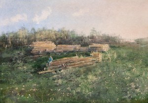"Woods & timbers" watercolor on paper, 35 x 50, 2012