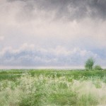 "Meadow" watercolor on paper, 40 x 55, 2012