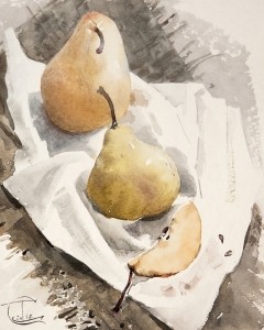 "Pear etude" watercolor on paper, 25 x 20, 2012