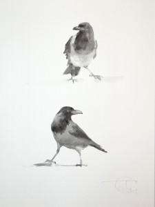 "Ravens & Crows" sketch #2, watercolor, 30 x 40, 2014