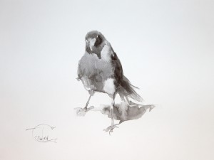 "Ravens & Crows" sketch #3, watercolor, 30 x 40, 2014